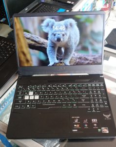 ASUS Tuf Gaming FX505DD