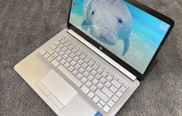 HP 14s cf1046TU Intel Celeron 4205U 4GB RAM 256GB SSD