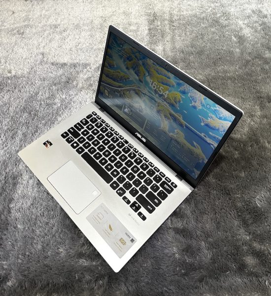 ASUS M409D Ryzen 5 3500U